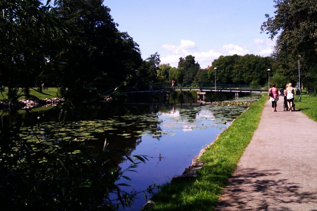 Goose72 tar just zonen Bron i Linköping