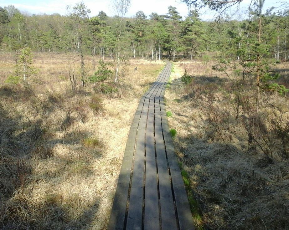 Skärmklipp.JPG