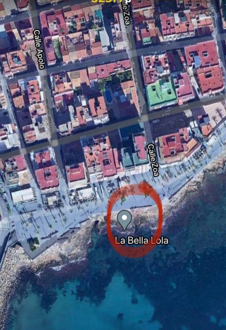 BellaLola.jpg