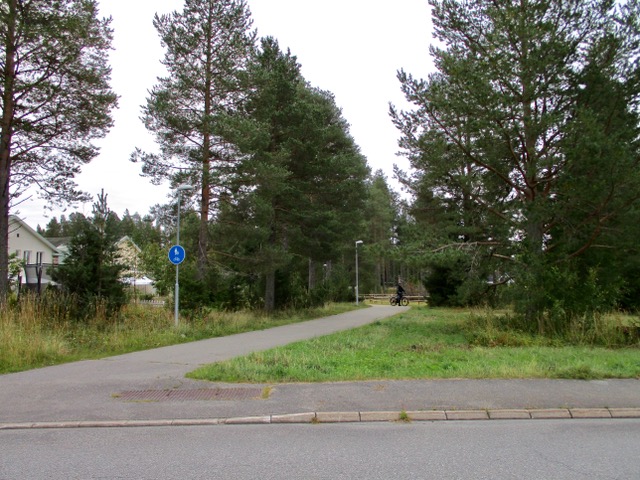 Brunkullan