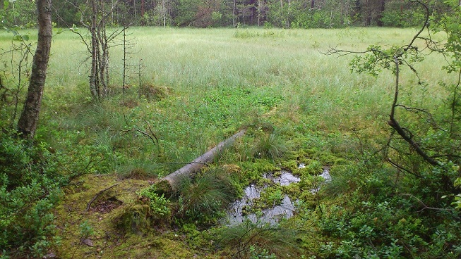 BlötaGläntan